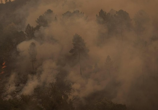 1-640-hektar-hutan-spanyol-terbakar-usai-cuaca-panas-ekstrim
